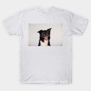 adorable purebred Border Collie T-Shirt